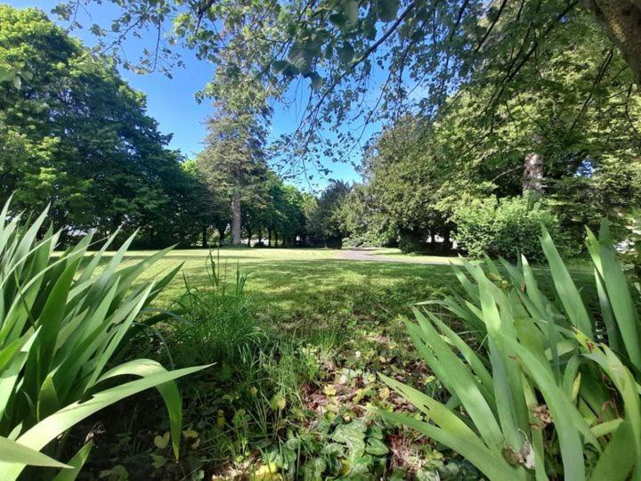 Chateau Ardilleux Ngoại thất bức ảnh